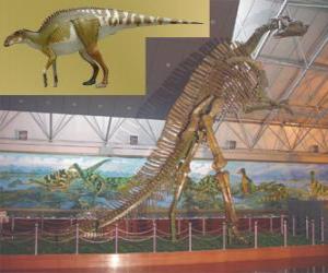 пазл Zhuchengosaurus является одним из крупнейших известных гадрозавридов